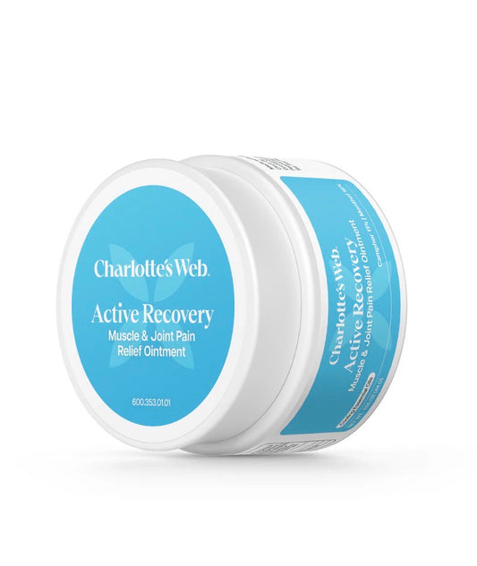 Active Recovery Muscle & Joint Pain Relief Ointment